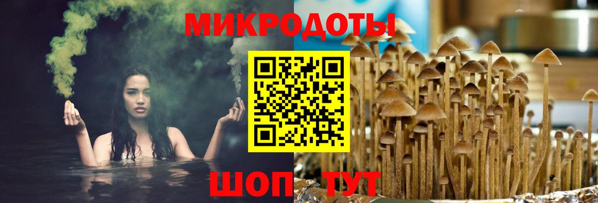 Галлюциногенные грибы Psilocybe  Вход с VPN  Янаул 
